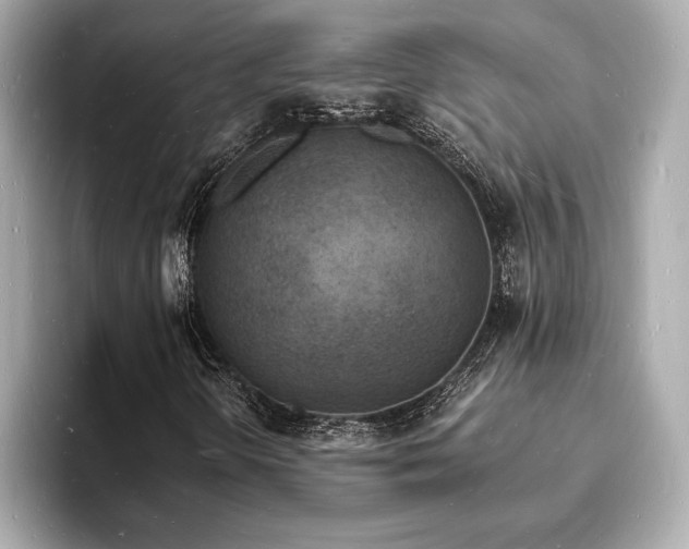 X0000093601298200710151213