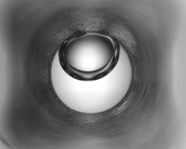 X0000093601300200710151213