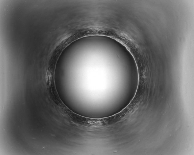 X0000093601302200710151213