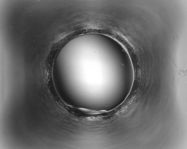 X0000093601303200710151213