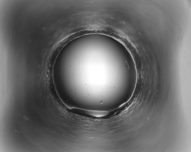 X0000093601304200710151214