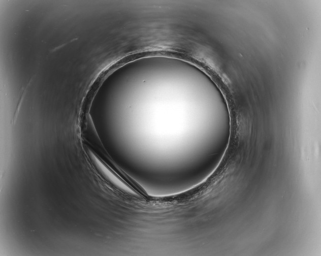 X0000093601308200710151214