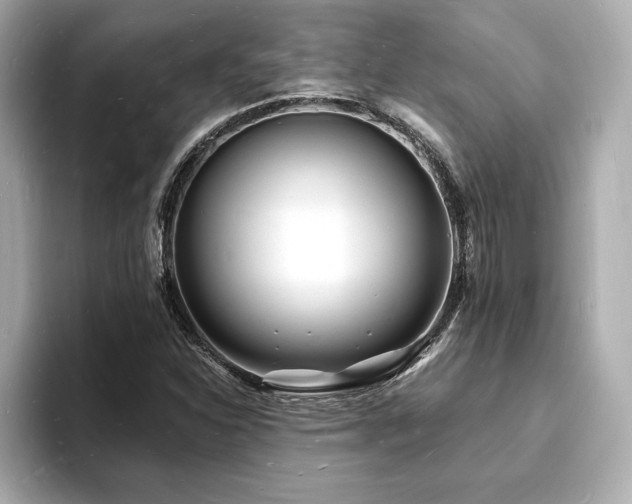 X0000093601310200710151214