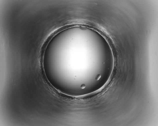 X0000093601312200710151214