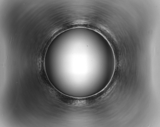 X0000093601313200710151214