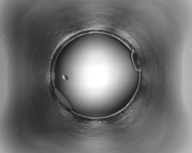 X0000093601316200710151214