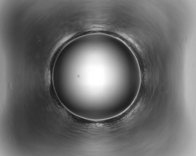X0000093601317200710151214