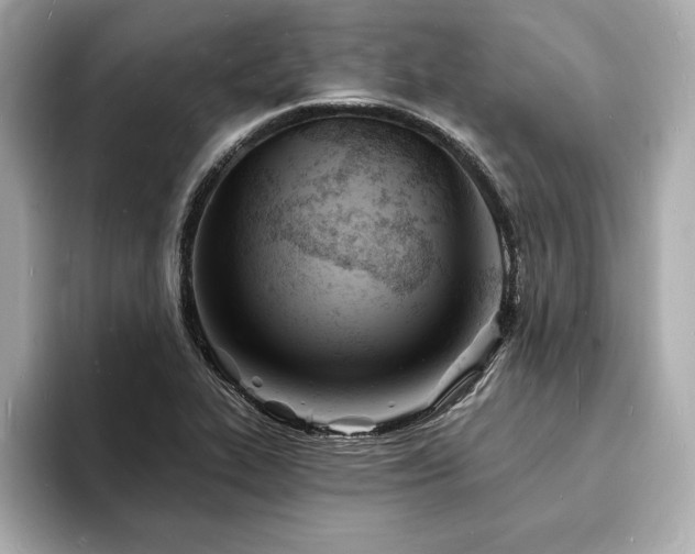 X0000093601319200710151214