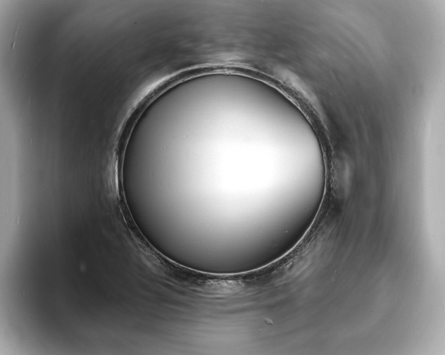 X0000093601320200710151214