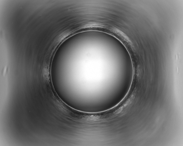 X0000093601321200710151214