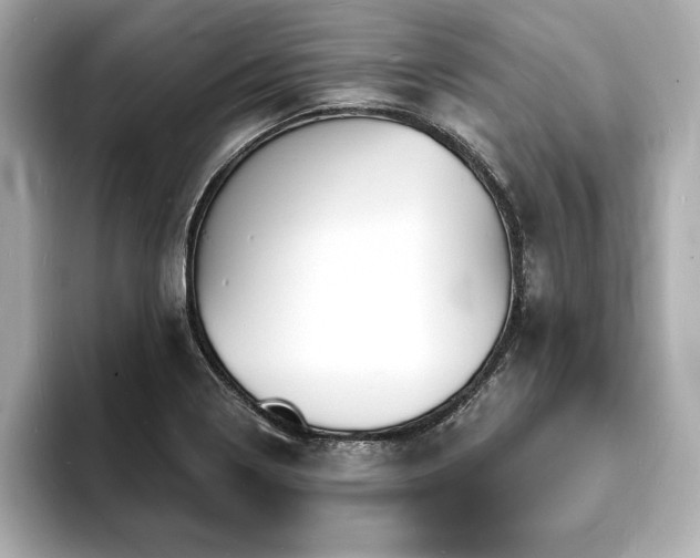 X0000093601322200710151214