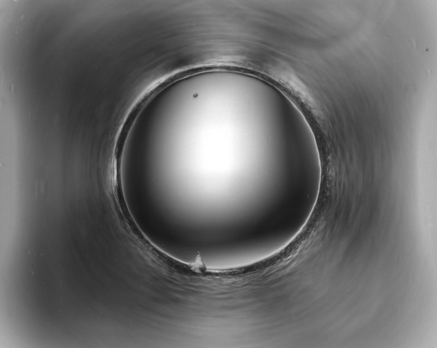 X0000093601324200710151214