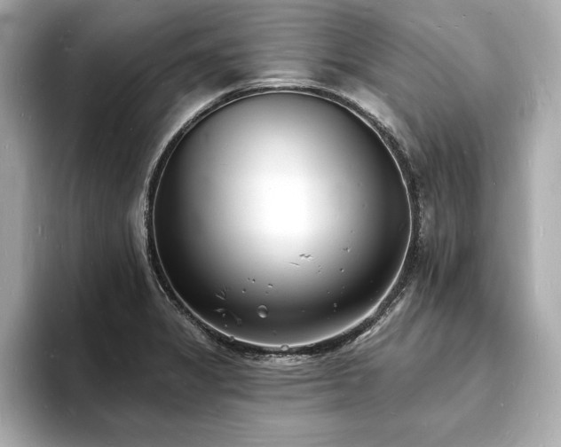 X0000093601325200710151214