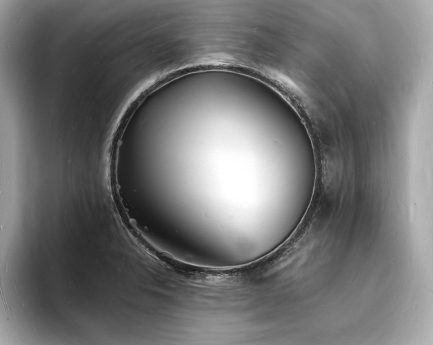 X0000093601326200710151214