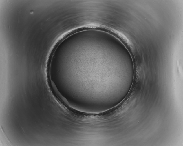 X0000093601327200710151214