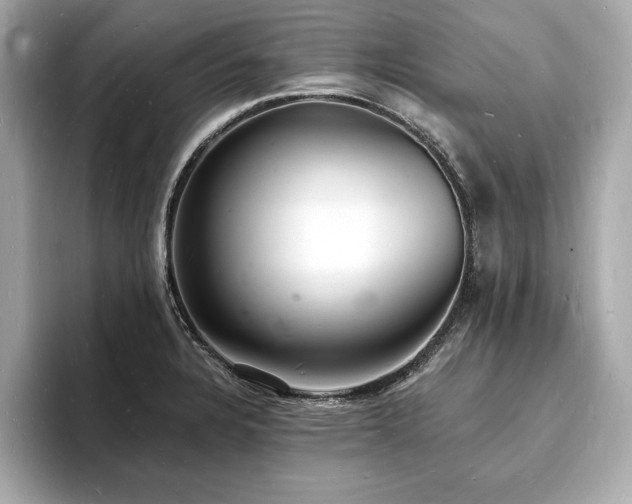 X0000093601328200710151214