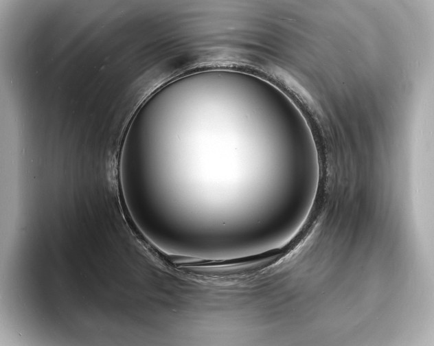 X0000093601329200710151214
