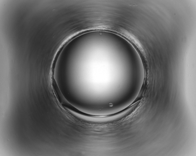 X0000093601332200710151214