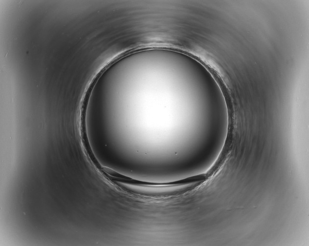 X0000093601333200710151214