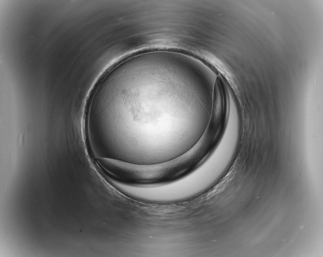 X0000093601334200710151214