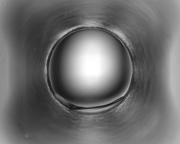 X0000093601335200710151214
