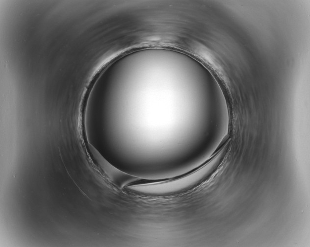 X0000093601336200710151214