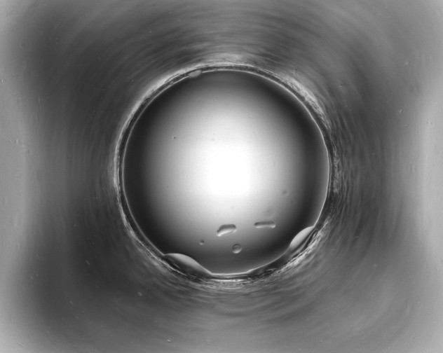 X0000093601342200710151214