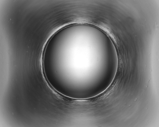 X0000093601343200710151214