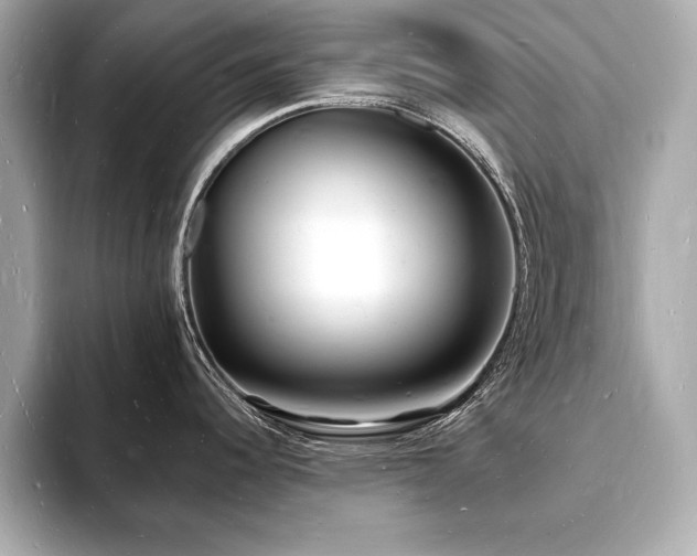 X0000093601344200710151214