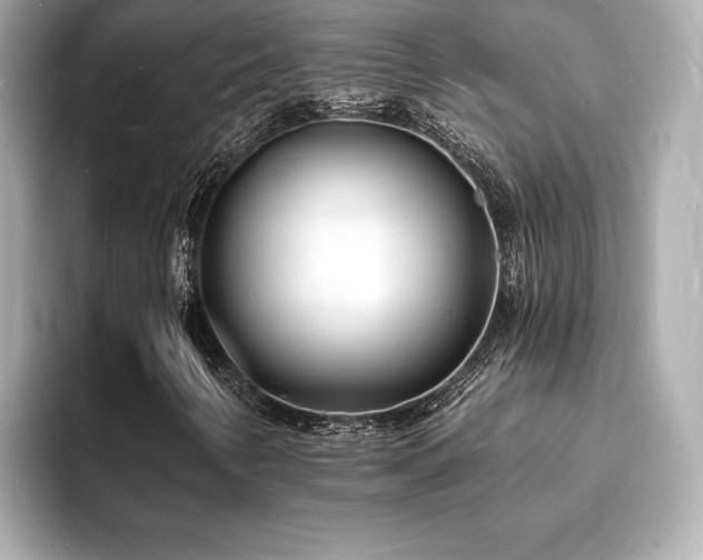 X0000093601346200710151213