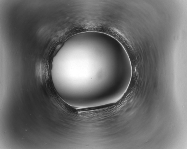 X0000093601348200710151213