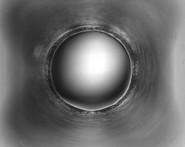 X0000093601352200710151213