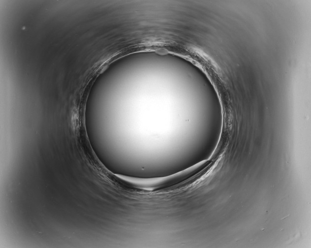 X0000093601353200710151213