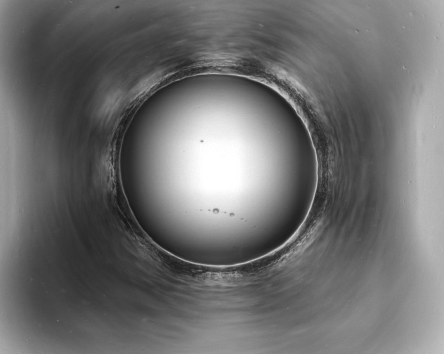 X0000093601354200710151213