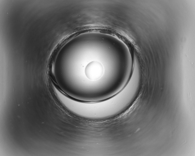 X0000093601357200710151213