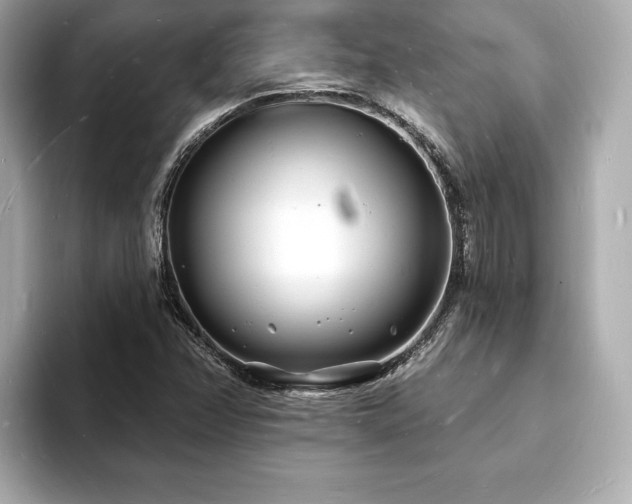 X0000093601358200710151213