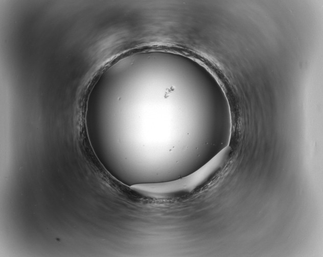 X0000093601359200710151213