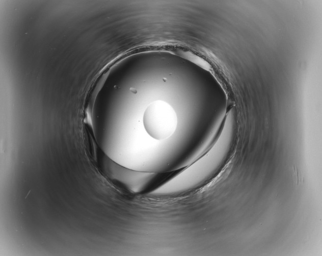 X0000093601361200710151213