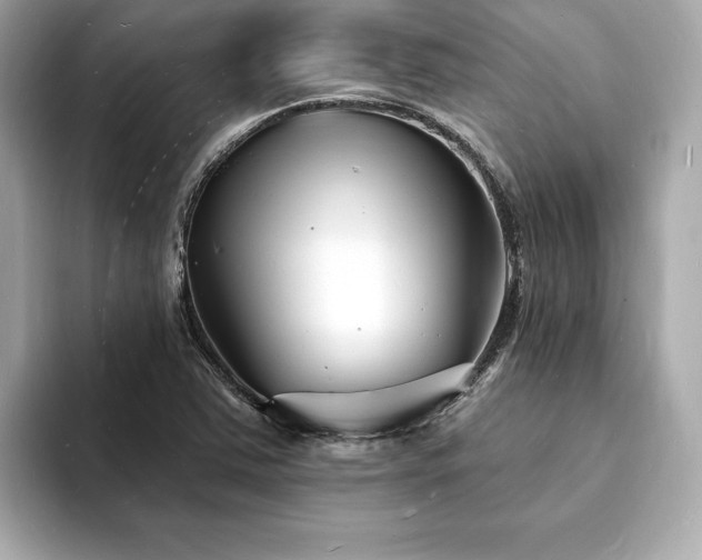 X0000093601363200710151213