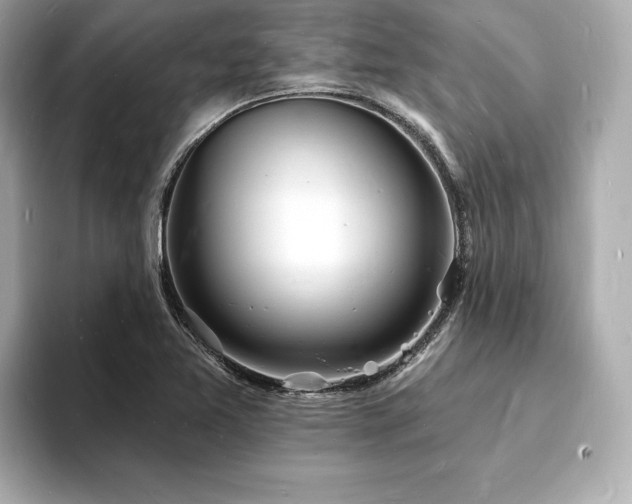 X0000093601365200710151213