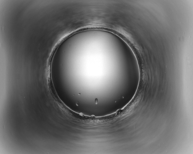 X0000093601366200710151213