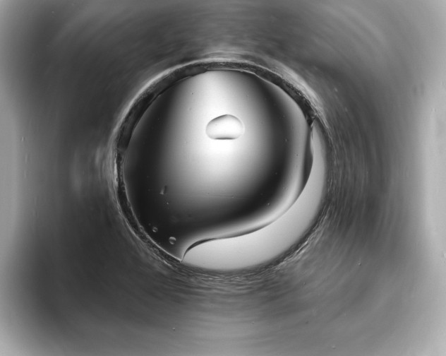 X0000093601368200710151213