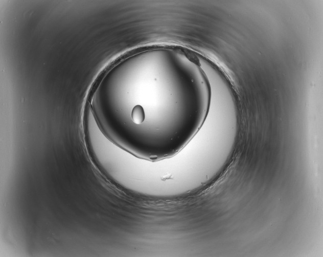X0000093601372200710151213