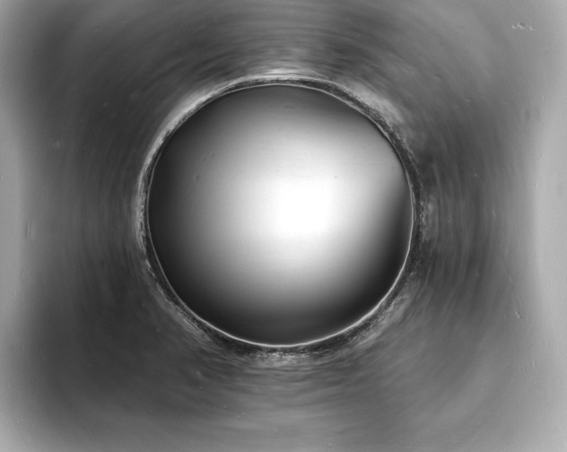 X0000093601374200710151213