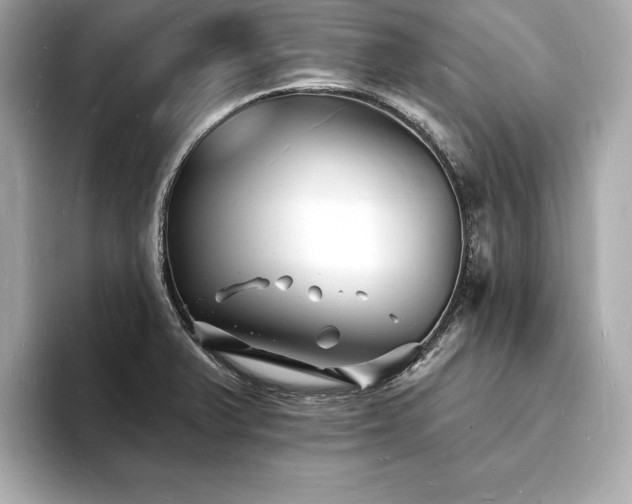 X0000093601375200710151213