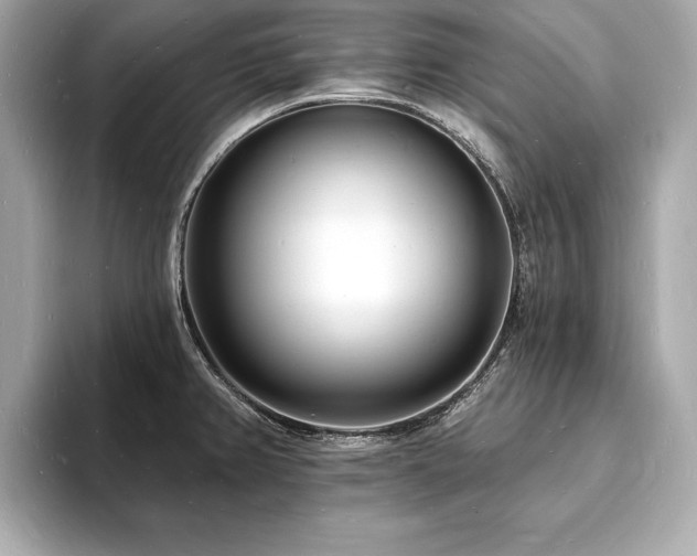 X0000093601382200710151213