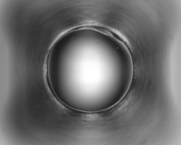 X0000093601383200710151213