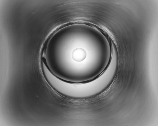 X0000093601384200710151213