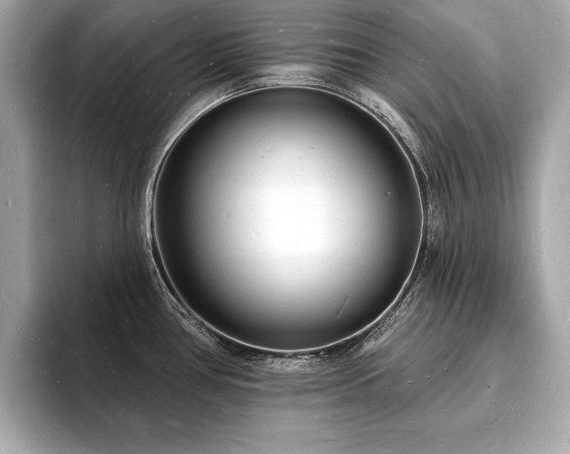 X0000093601386200710151213