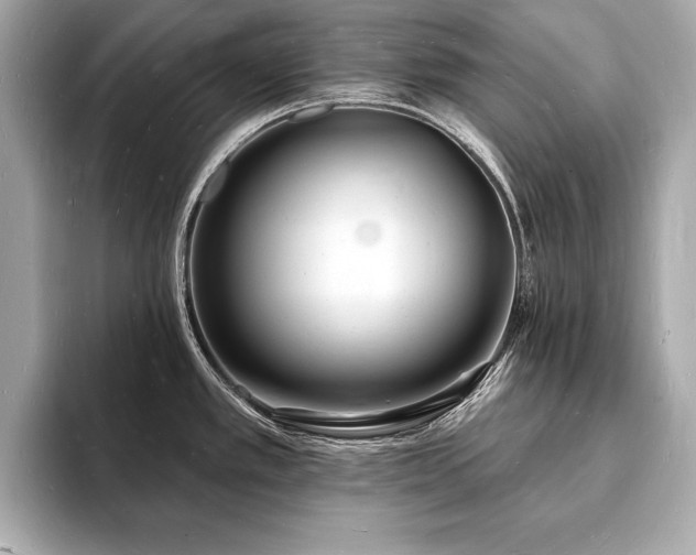 X0000093601389200710151213